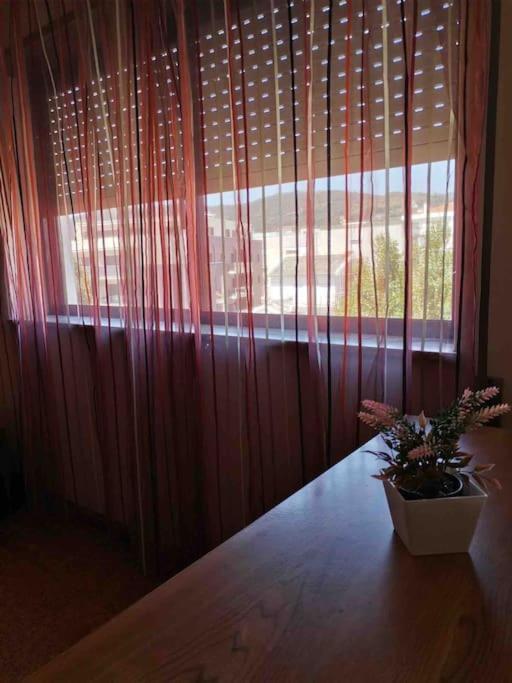 Cardoso House Vpa Leilighet Vila Praia de Âncora Eksteriør bilde